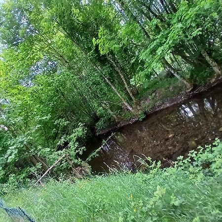 Gite De L'Ours Saint-Maurice-sur-Moselle Ngoại thất bức ảnh