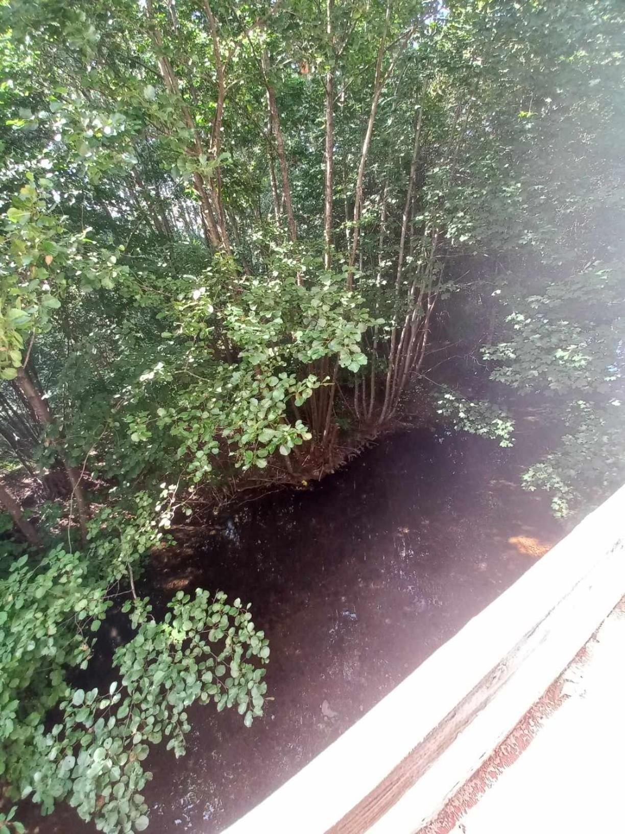 Gite De L'Ours Saint-Maurice-sur-Moselle Ngoại thất bức ảnh