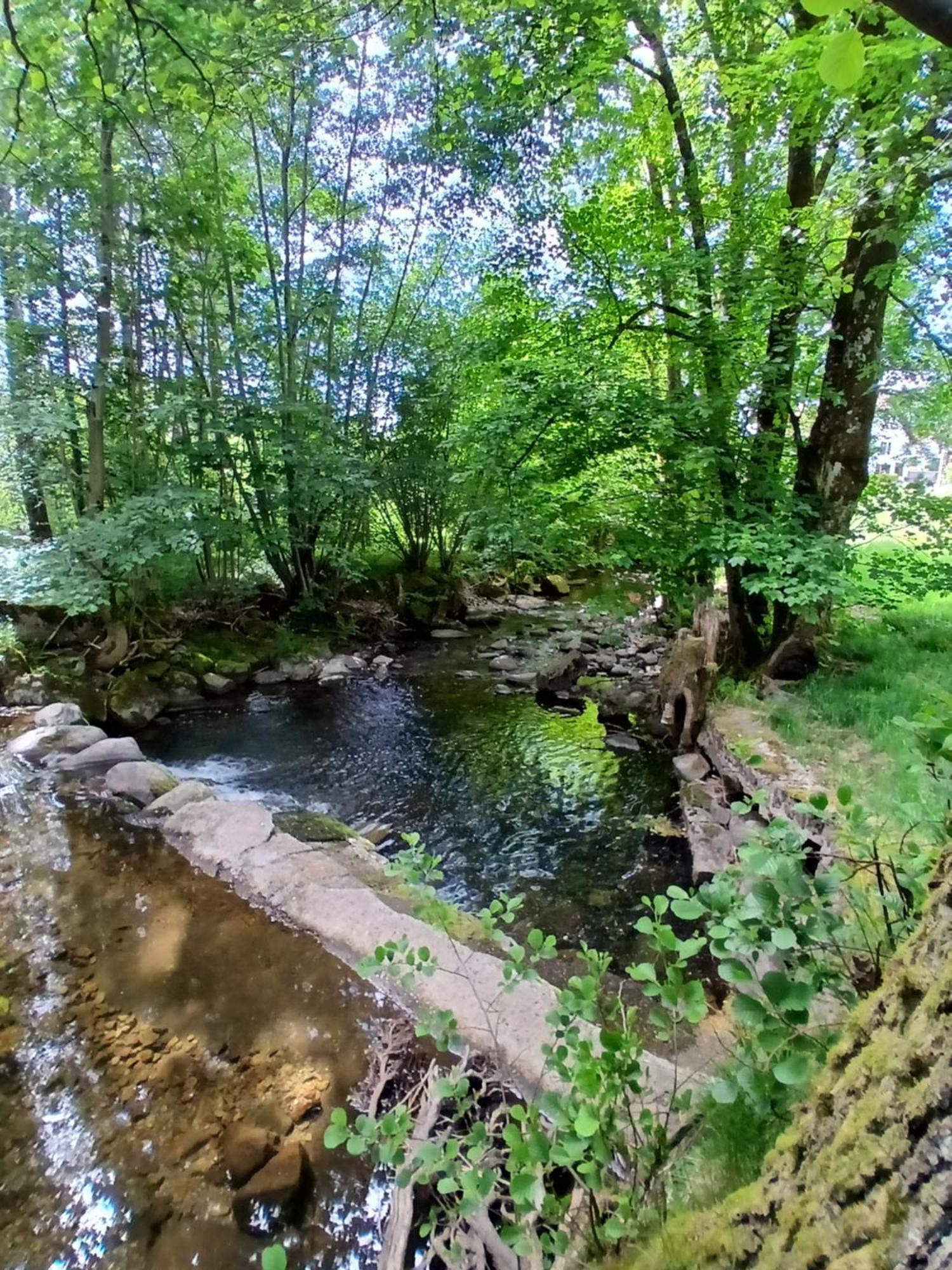 Gite De L'Ours Saint-Maurice-sur-Moselle Ngoại thất bức ảnh